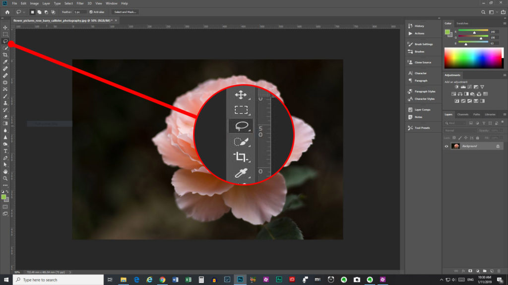 image of the photoshop workspace, showing where the lasso tool icon can be found