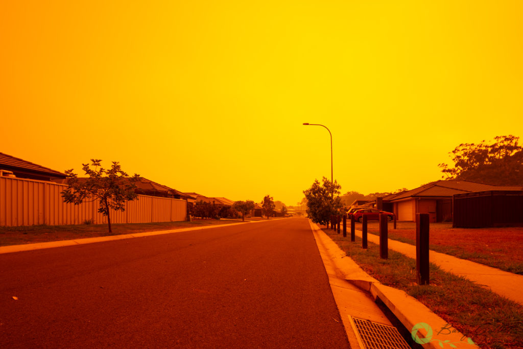suburban street bathed in orange glow of bushfires in new south wales - photo of the month photographer's freedom