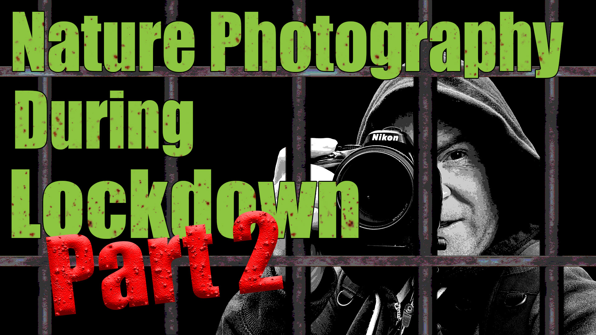 nature photography during lockdown part 2 thumbnail
