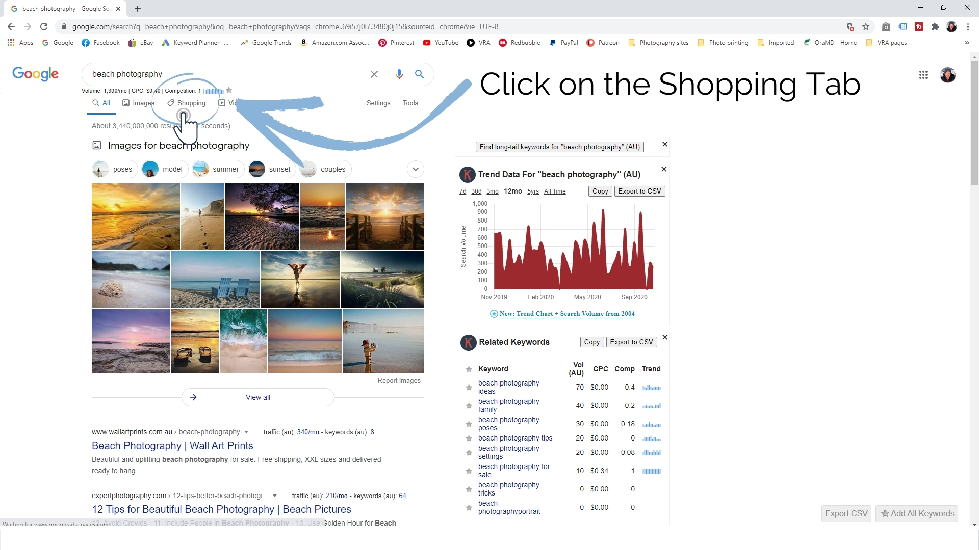 how to choose a photography business name - a screenshot showing a Google shopping search for beach photography